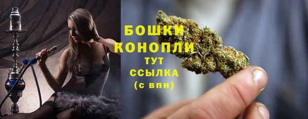 круглые Карпинск
