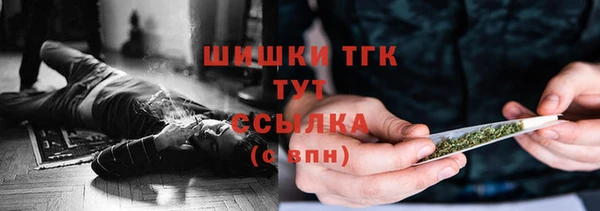 круглые Карпинск
