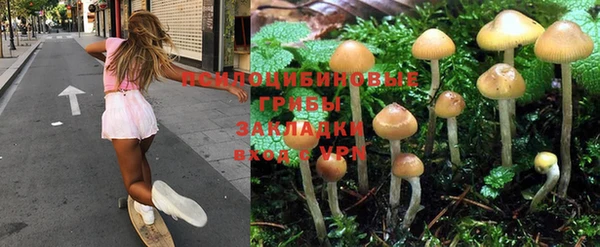 круглые Карпинск