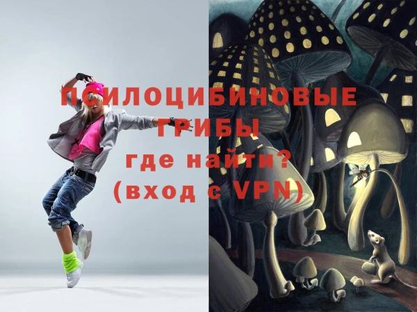 круглые Карпинск