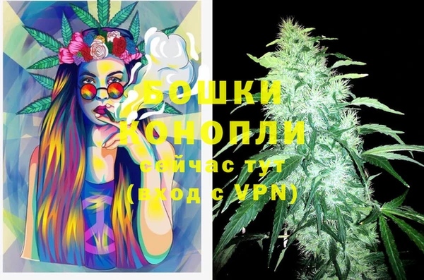 круглые Карпинск