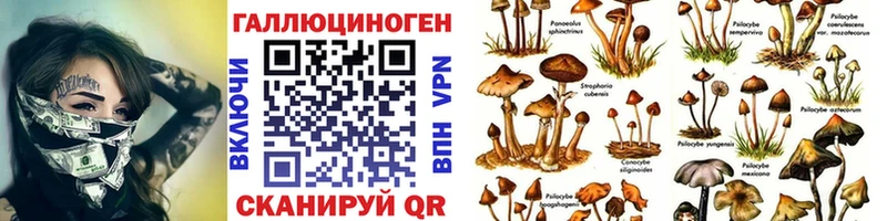 Галлюциногенные грибы мухоморы  где найти наркотики  Мостовской 